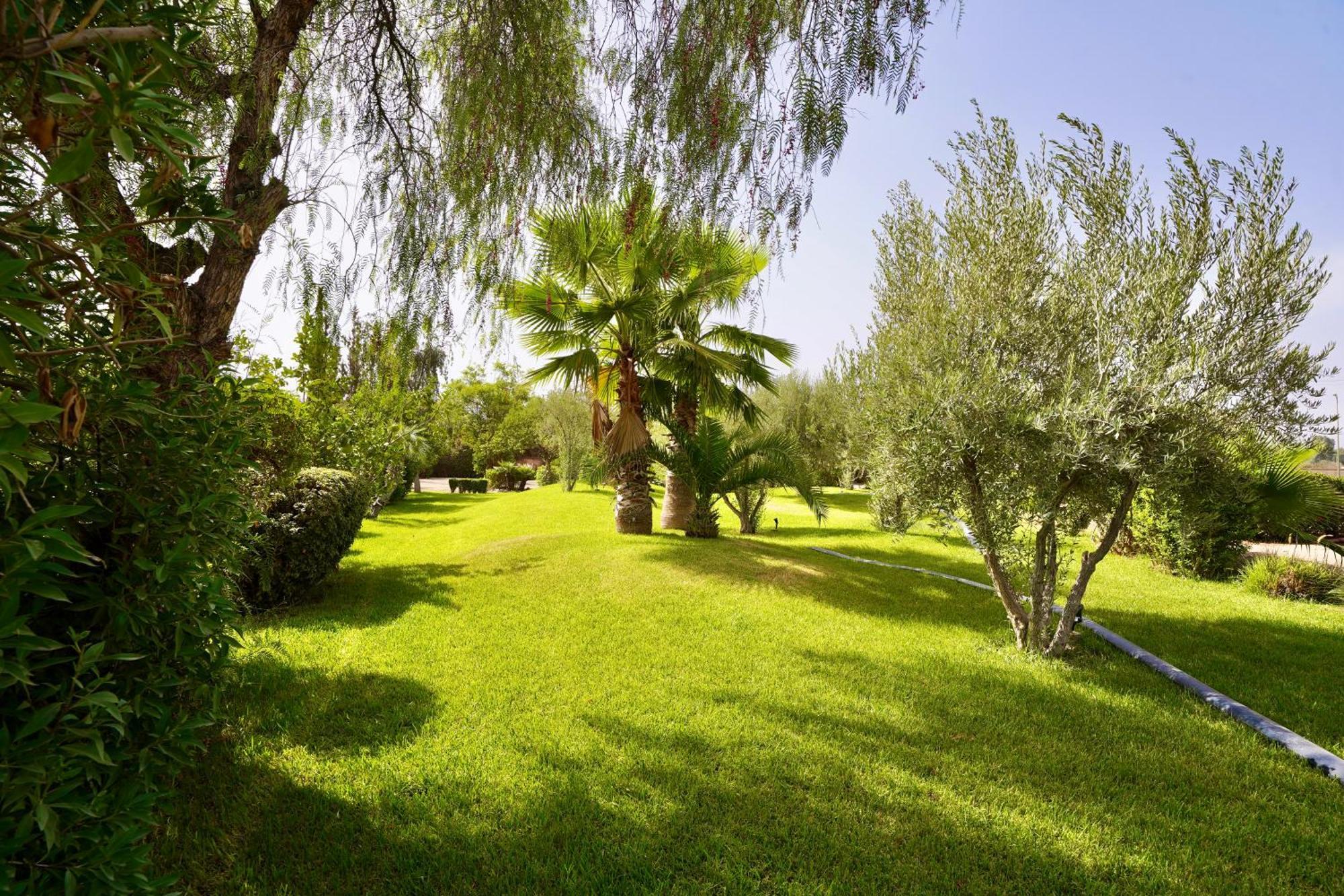 Ourika Camp Suites Hotel & Resort El Harkat Exterior photo