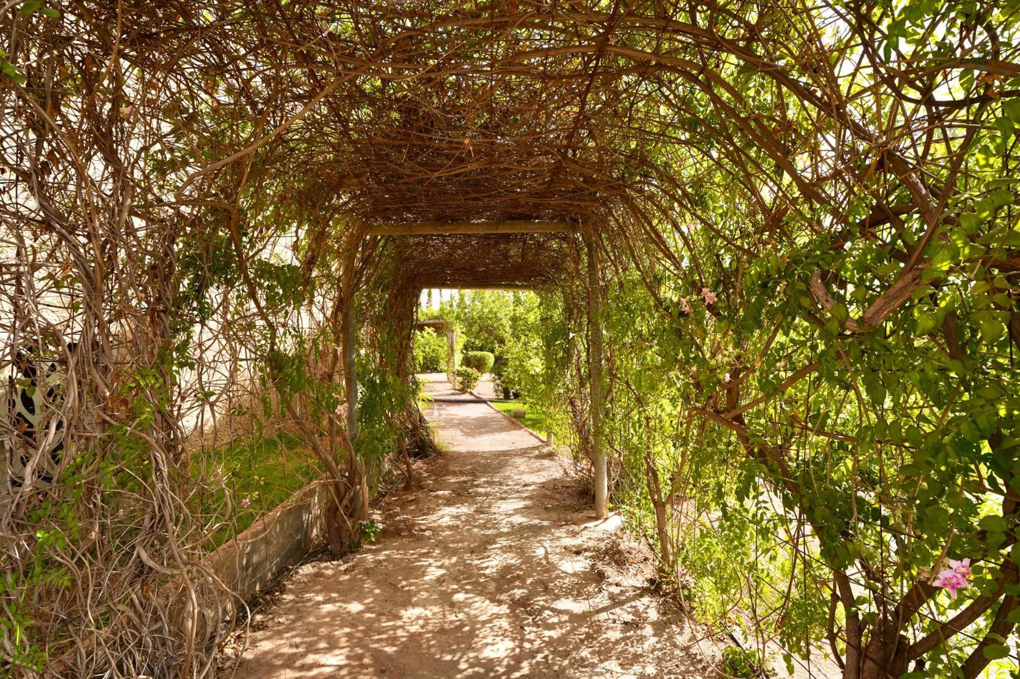 Ourika Camp Suites Hotel & Resort El Harkat Exterior photo